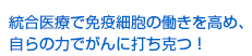 統合医療で免疫細胞の働きを高め、自らの力でがんに打ち克つ！